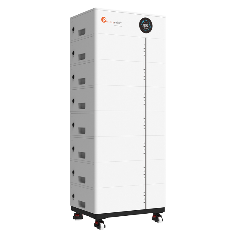 Fls48100sg2 (2)