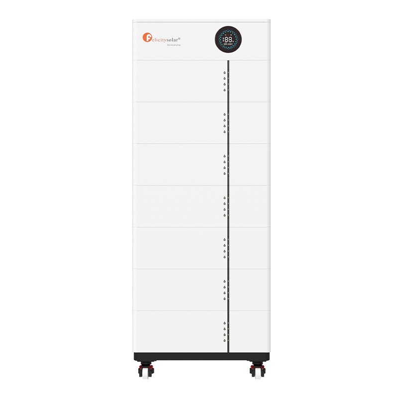 Fls48100sg2 (4)